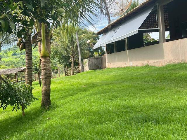 #4195 - Chácara para Venda em Goianira - GO