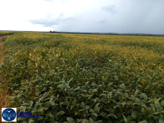 Fazenda para Venda em Rio dos Bois - 4
