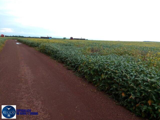 Fazenda para Venda em Rio dos Bois - 5