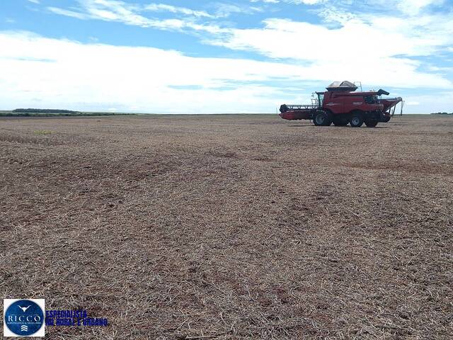 #4197 - Fazenda para Venda em Rio dos Bois - TO