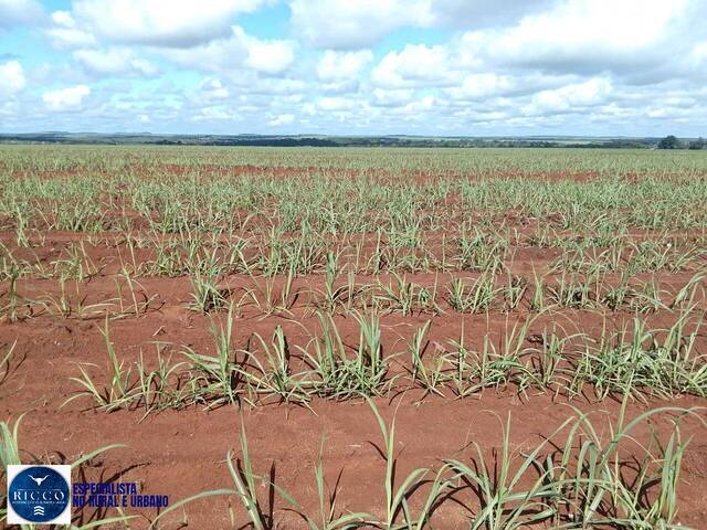 Fazenda para Venda em Pedro Afonso - 4
