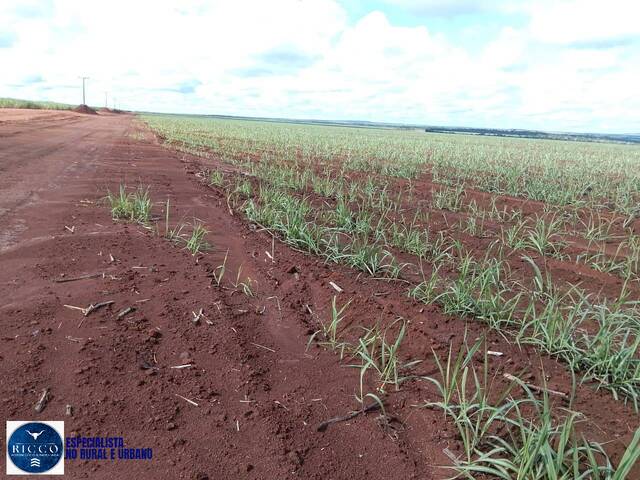 Fazenda para Venda em Pedro Afonso - 5