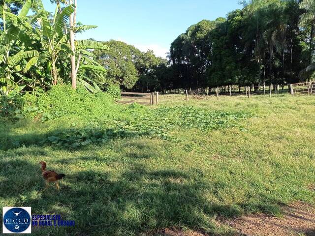 #4199 - Fazenda para Venda em Santa Fé de Goiás - GO