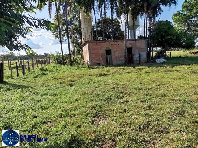 #4199 - Fazenda para Venda em Santa Fé de Goiás - GO