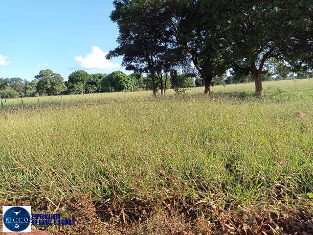 Fazenda para Venda em Santa Fé de Goiás - 4