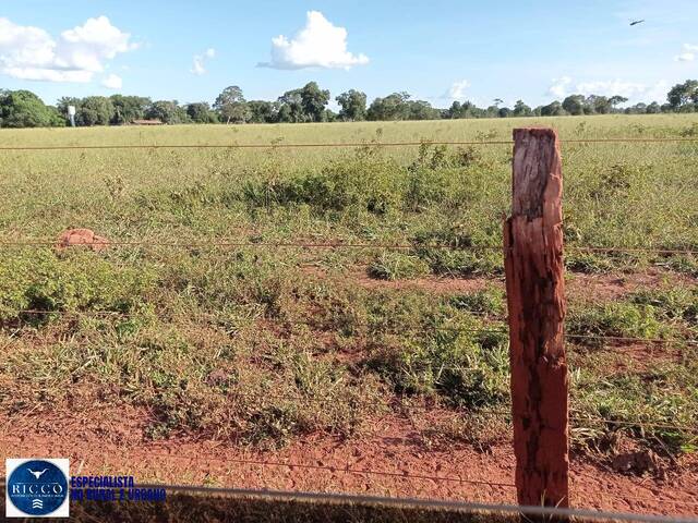 Fazenda para Venda em Santa Fé de Goiás - 5