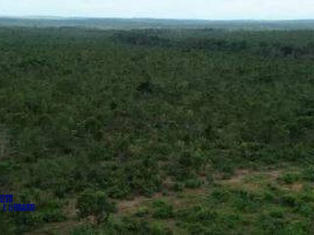 #4201 - Fazenda para Venda em Mateiros - TO