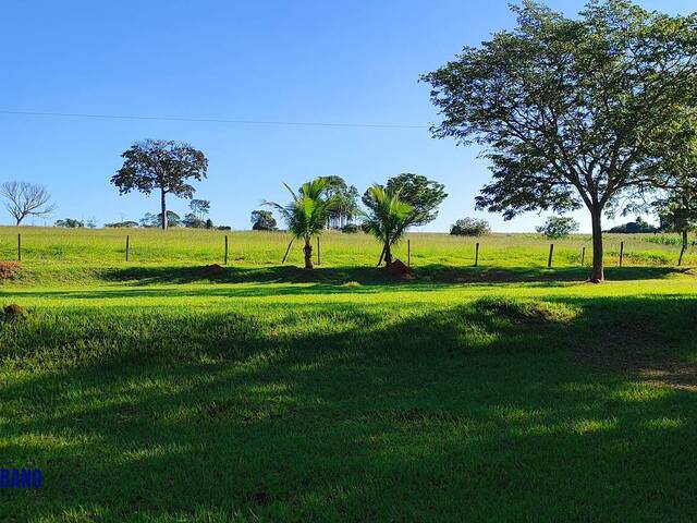 Chácara para Venda em Trindade - 4