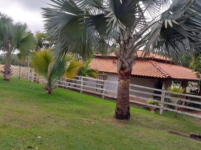 #4203 - Chácara para Venda em Trindade - GO