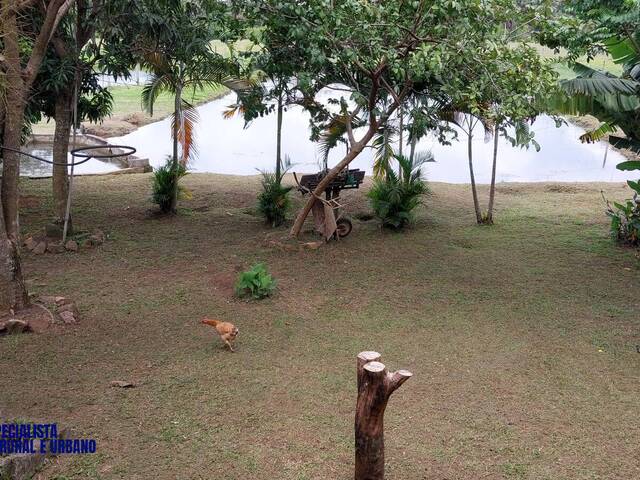 Chácara para Venda em Trindade - 5