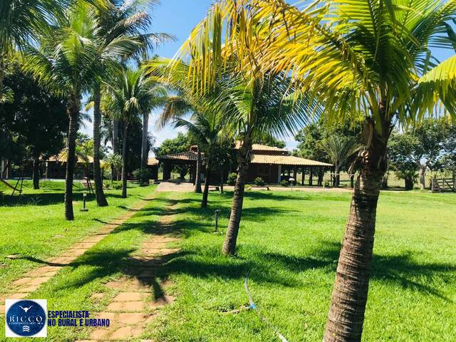 Venda em zona rural - Trindade