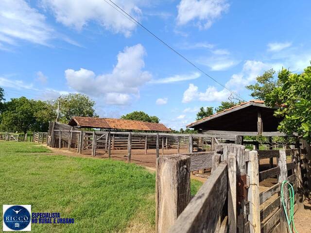 #4205 - Fazenda para Venda em Araguaçu - TO