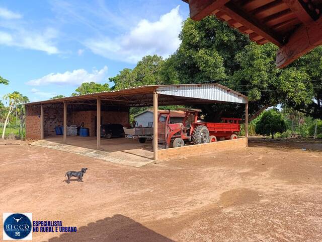 #4205 - Fazenda para Venda em Araguaçu - TO