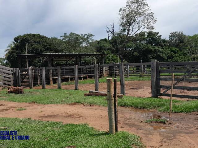 #4206 - Fazenda para Venda em Araguaçu - TO