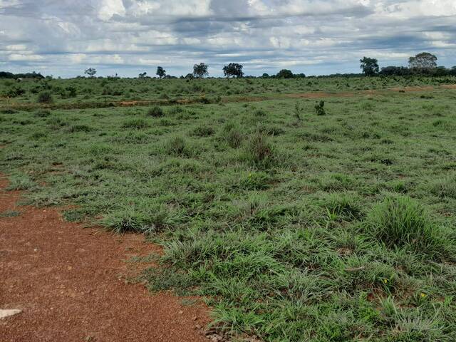 #4206 - Fazenda para Venda em Araguaçu - TO