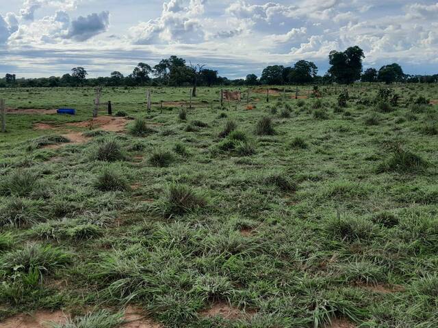 Fazenda para Venda em Araguaçu - 5