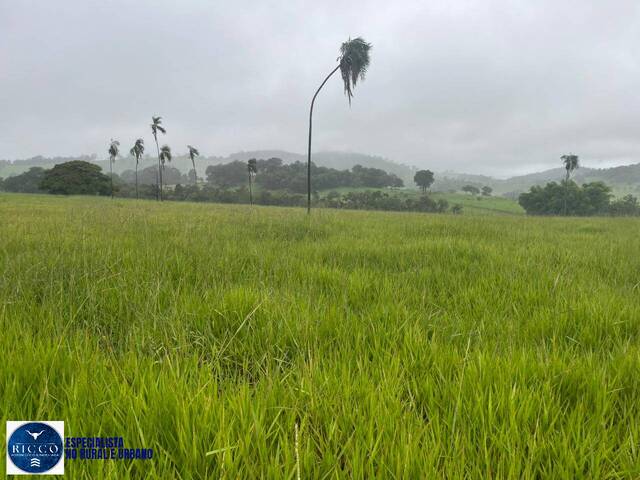 #4207 - Chácara para Venda em Taquaral de Goiás - GO