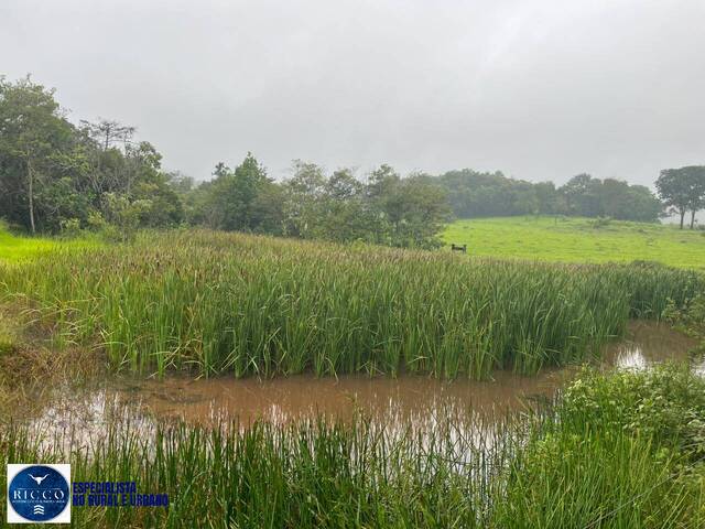 Chácara para Venda em Taquaral de Goiás - 4