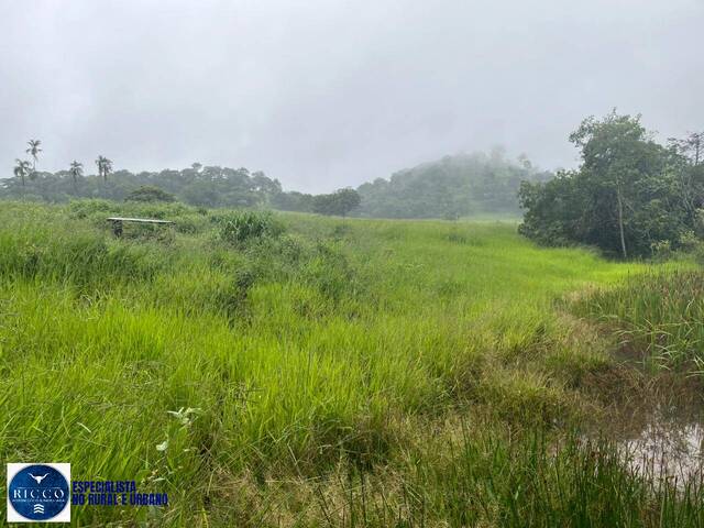 #4207 - Chácara para Venda em Taquaral de Goiás - GO