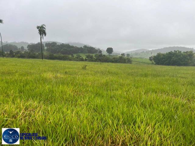 Chácara para Venda em Taquaral de Goiás - 5