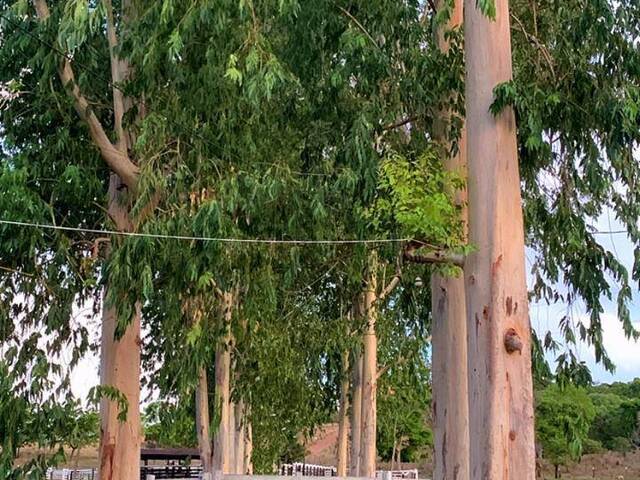 #4208 - Chácara para Venda em Uruaçu - GO