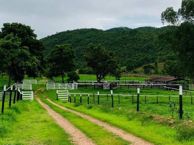 Fazenda para Venda em Uruaçu - 4