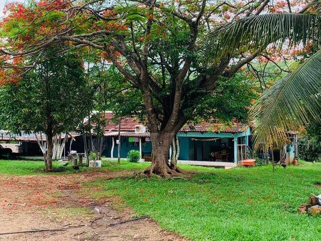 #4208 - Chácara para Venda em Uruaçu - GO