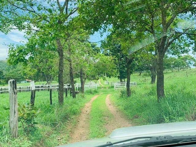 Fazenda para Venda em Uruaçu - 5