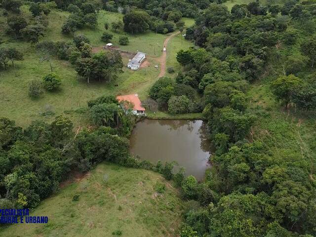 #4209 - Fazenda para Venda em São Luíz do Norte - GO