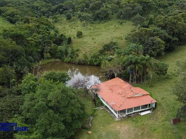 Fazenda para Venda em São Luíz do Norte - 4