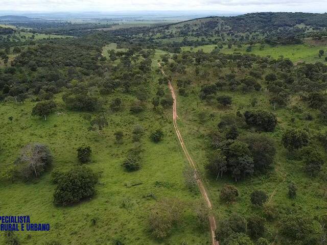 #4209 - Fazenda para Venda em São Luíz do Norte - GO