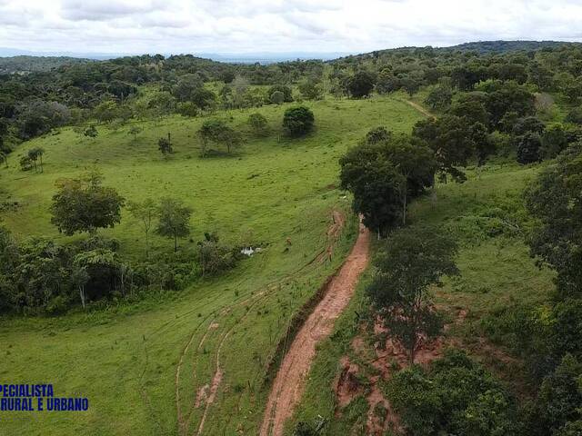 Fazenda para Venda em São Luíz do Norte - 5