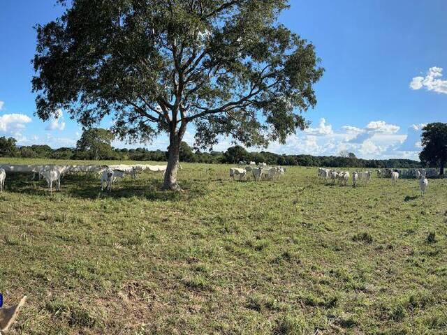 Venda em zona rural - Araguaçu