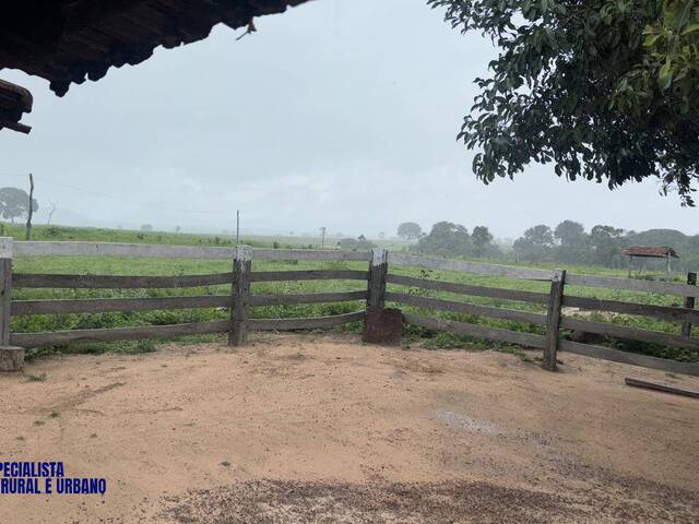 #4211 - Fazenda para Venda em Araguaçu - TO
