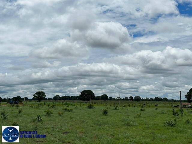 Fazenda para Venda em Araguaçu - 4