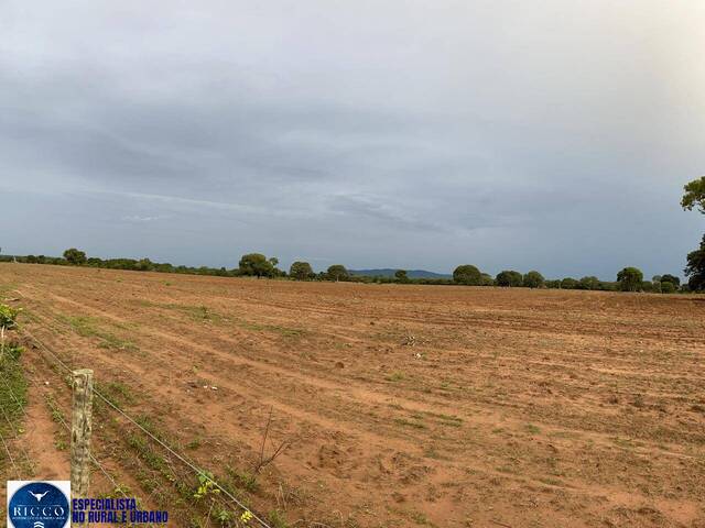 Fazenda para Venda em Araguaçu - 5