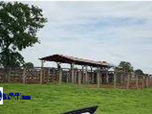 Fazenda para Venda em Aragarças - 4