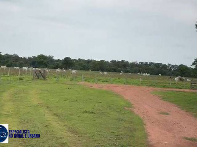 Fazenda para Venda em Aragarças - 5