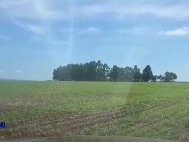 Fazenda para Venda em Baliza - 4