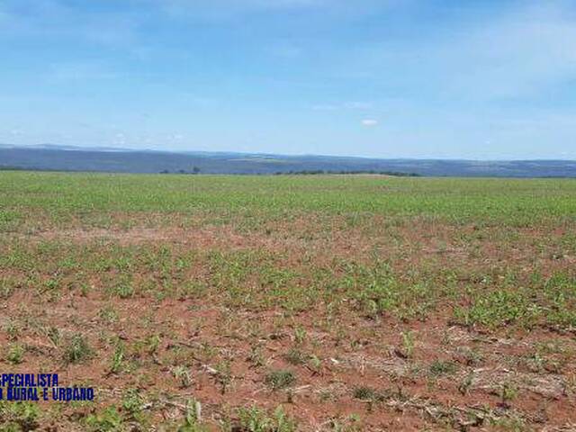 Fazenda para Venda em Baliza - 5
