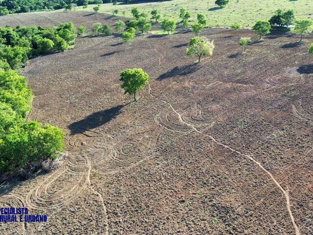 #4214 - Fazenda para Venda em Sanclerlândia - GO