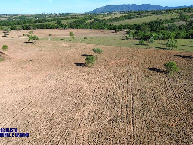 Fazenda para Venda em Sanclerlândia - 4