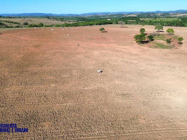 Fazenda para Venda em Sanclerlândia - 5