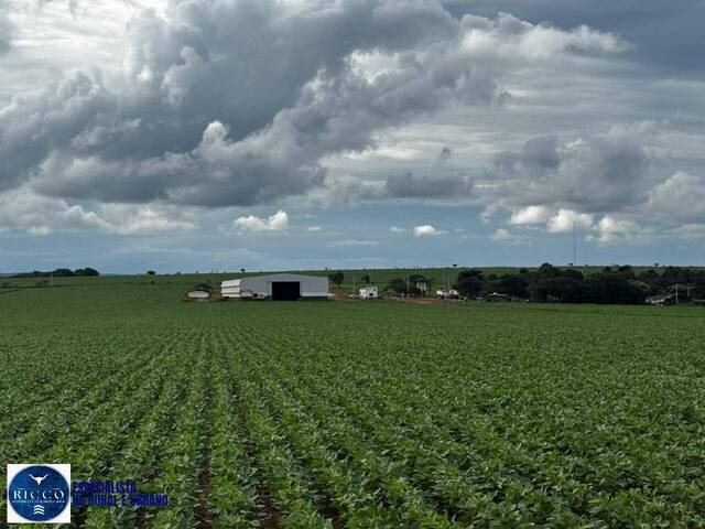 #4215 - Fazenda para Venda em Cristalina - GO