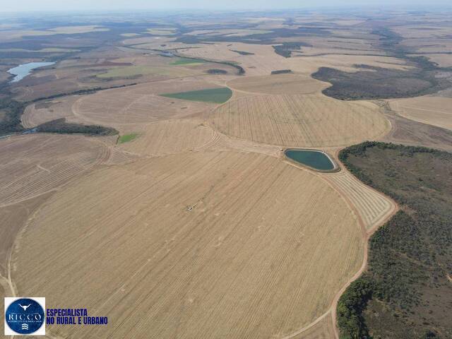 Fazenda para Venda em Cristalina - 4