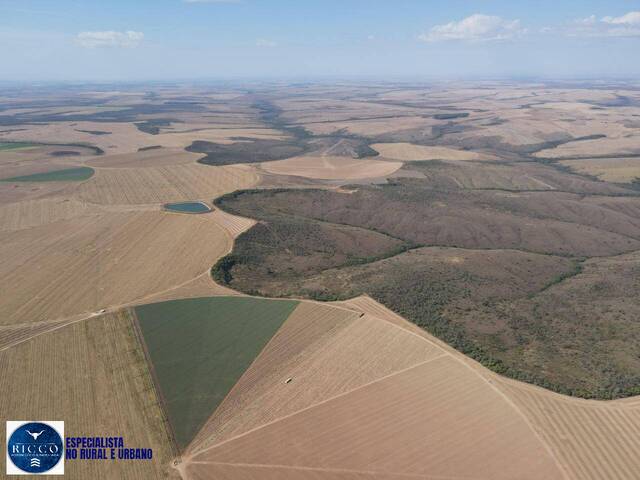 #4215 - Fazenda para Venda em Cristalina - GO