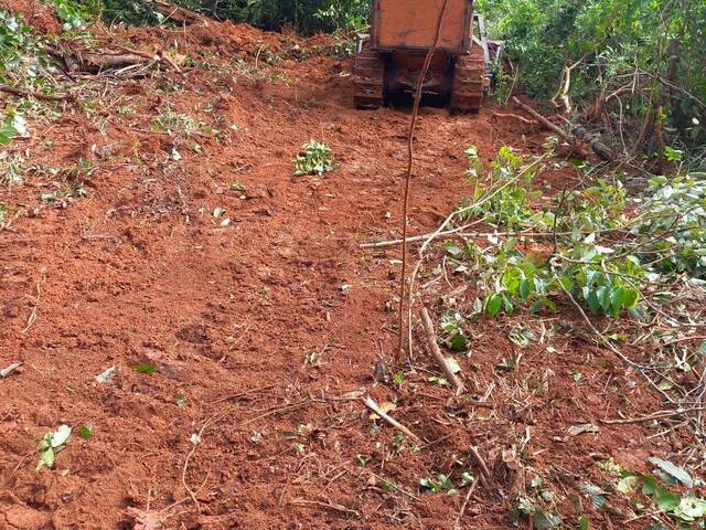 #4218 - Fazenda para Venda em Pedro Afonso - TO