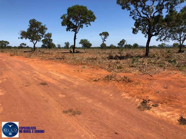 Fazenda para Venda em Pedro Afonso - 5