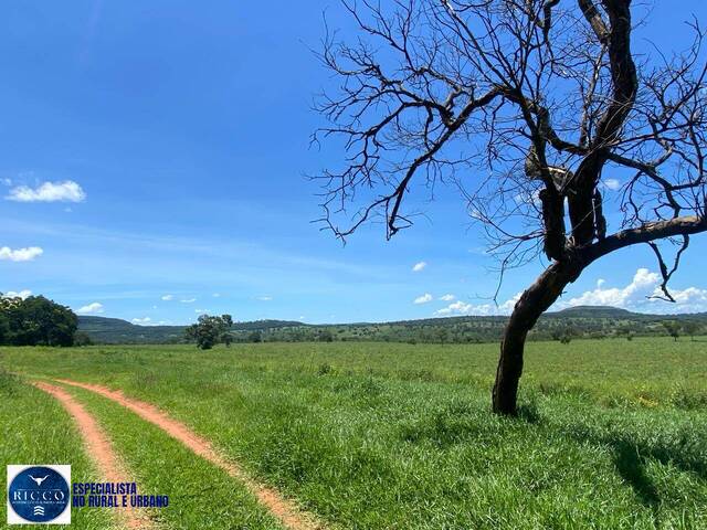 #4219 - Fazenda para Venda em Pontal do Araguaia - MT