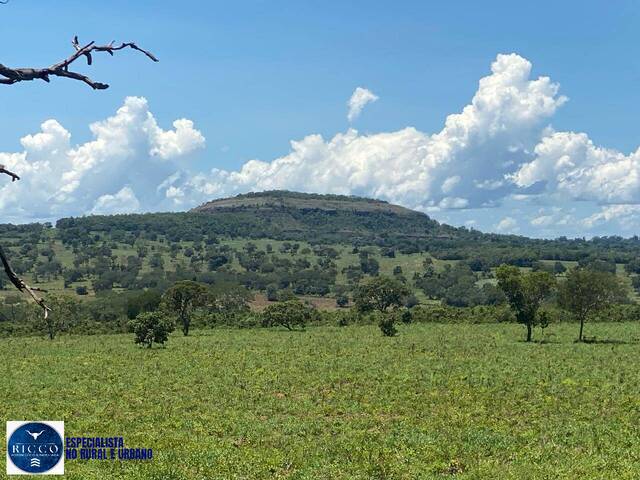 #4219 - Fazenda para Venda em Pontal do Araguaia - MT